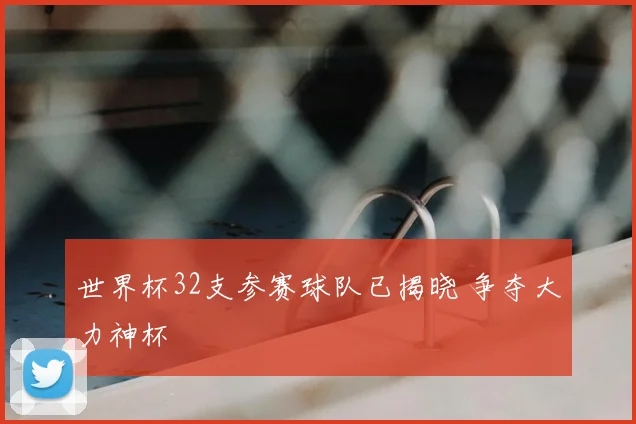 世界杯32支参赛球队已揭晓 争夺大力神杯
