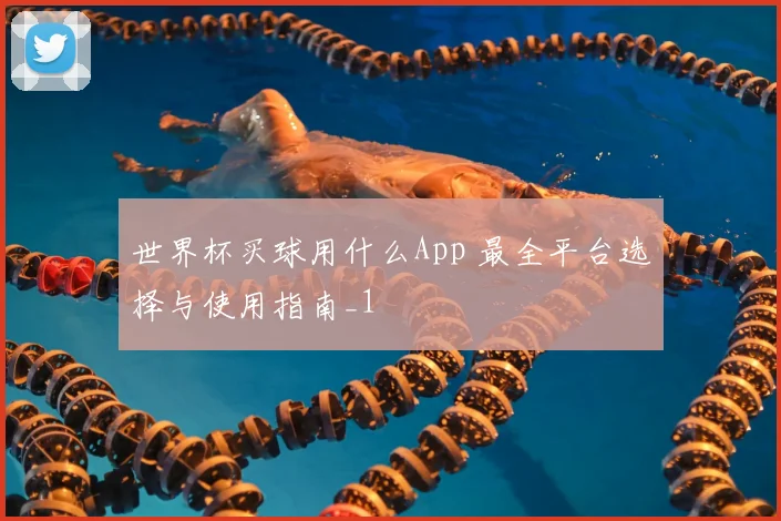 世界杯买球用什么App 最全平台选择与使用指南_1