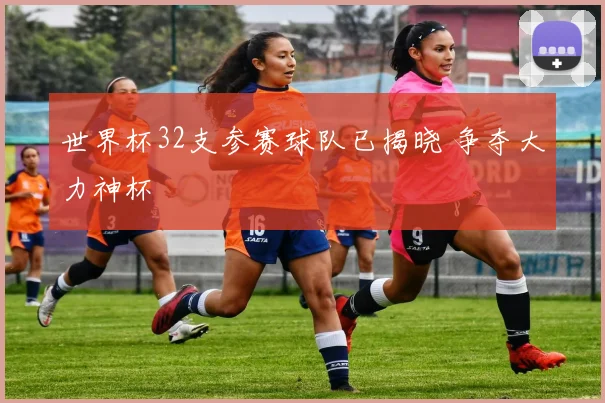 世界杯32支参赛球队已揭晓 争夺大力神杯
